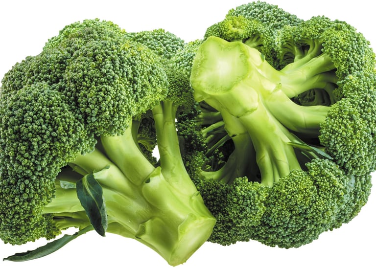 Import Egyptian Fresh Broccoli - HS Code 070410
