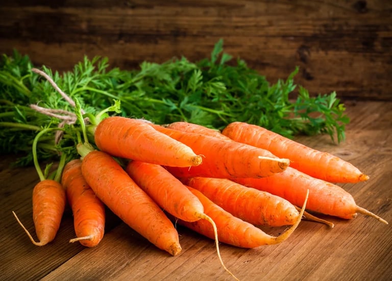 Import Egyptian Fresh Carrot - HS Code 070610