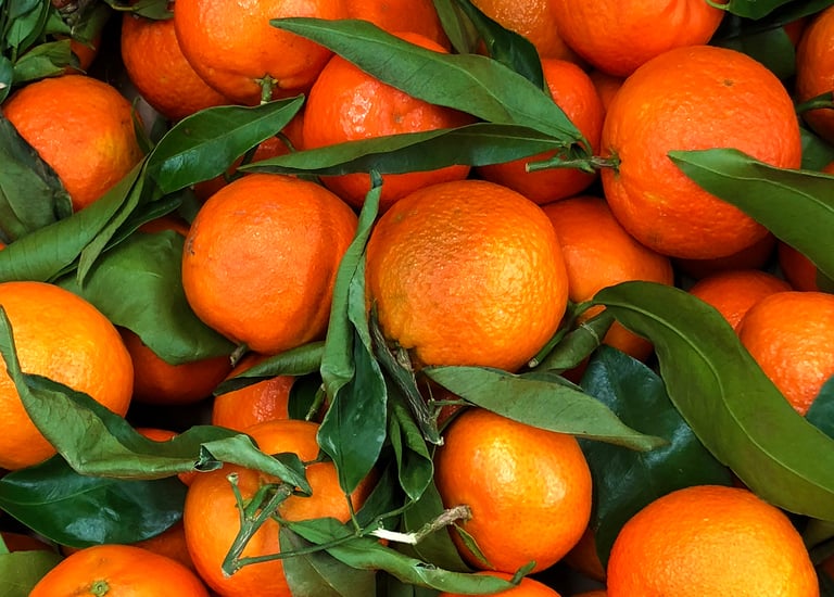 Import Egyptian Fresh Clementine - HS Code 080522