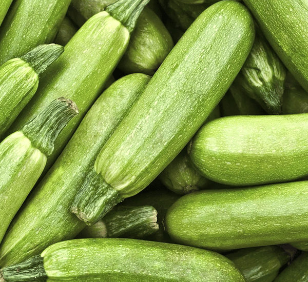 Import Egyptian Fresh Courgettes or Zucchinis- HS Code 070993