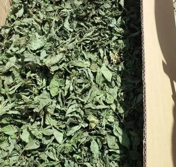 Import Egyptian Dry Molokhia - HS Code 071290