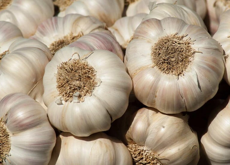 Import Egyptian Fresh Garlic - HS Code 070320