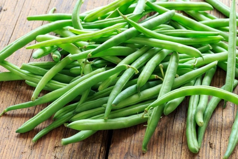 Import Egyptian Fresh Green beans - HS Code 070820
