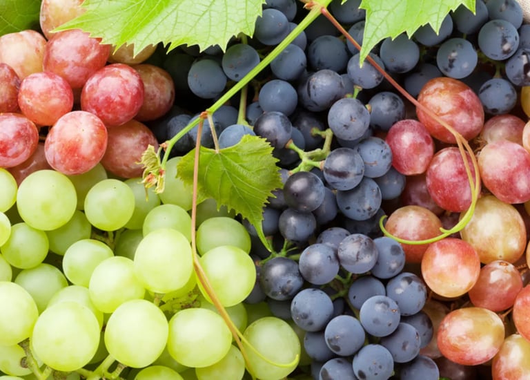 Import Egyptian Grapes- HS Code 080610