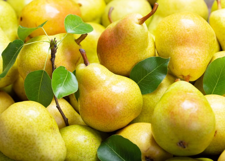Import Egyptian Pear - HS Code 080830