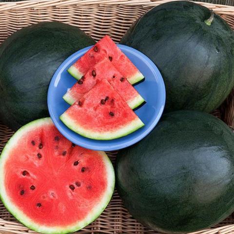 Import Egyptian Water Melon - HS Code 080711