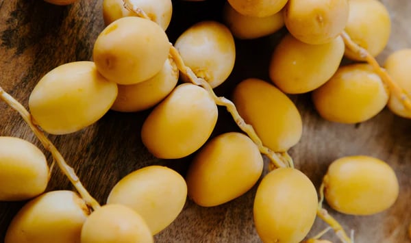 Import Egyptian Dates - HS Code 080410