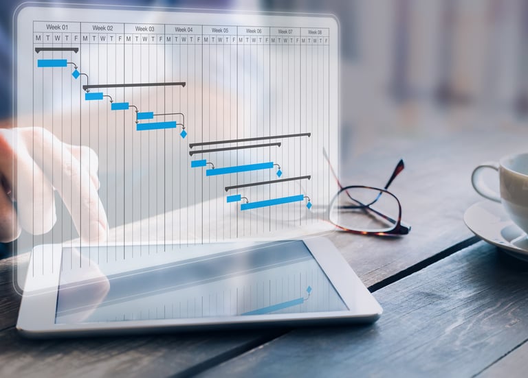 Project management professional  for software implementations