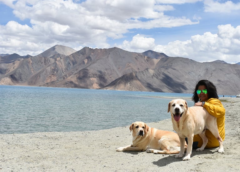 Dog Boarding, Dog Boarding near me, Pet Boarding, Pet Boarding near me, Dog Care, Happy Pettings