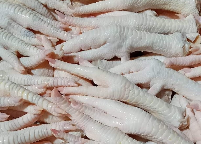 Chicken feet Exports by DGT