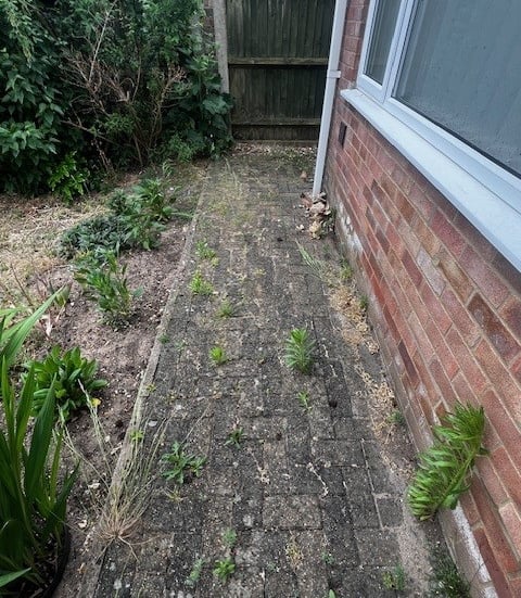 Exterior pressure washing service for homes in Norwich Norfolk by PJB Exterior Cleaning