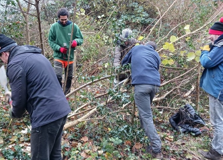 Coppicing during volunteer work