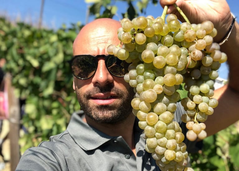 Giovanni d'Alesio, produttore Abruzzese vino artigianale e distribuzione vini italiani e francesi