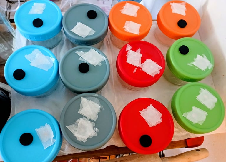 no pour agar jars with lids of different colors