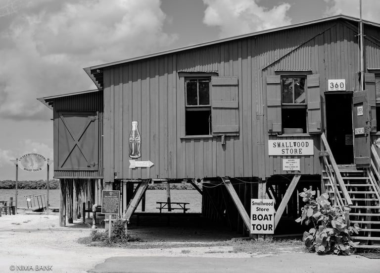 a bait and tackle general store in black and white in everglades city florida