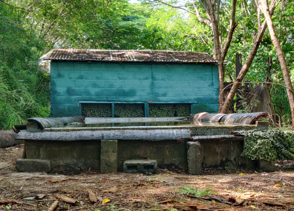 Eenvoudige lodgevoorziening midden in het bos tijdens vogelfotografie rondreis in Gambia