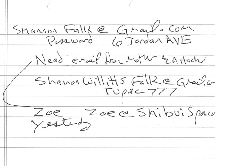 Patricia Willitts Stealing Shannon Falk passwords in 2014