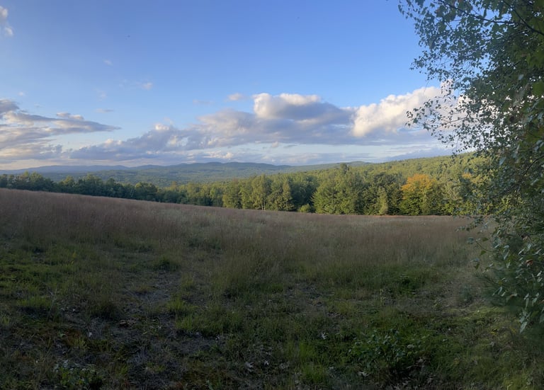 Landscape and view of sky in Maine