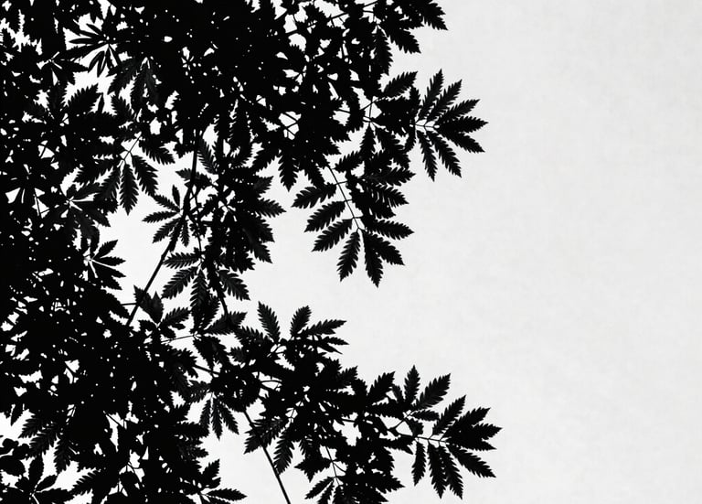 diseño de jardines del estudio ReGaLiZ