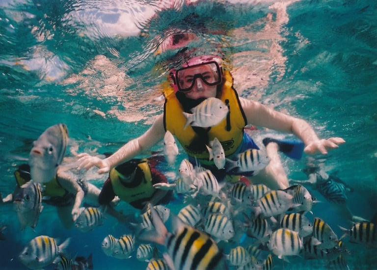 Snorkeling with colourful fish at St.Ann