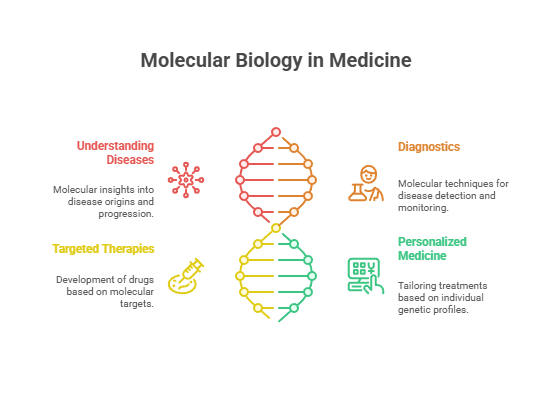 Molecular biology in medicine