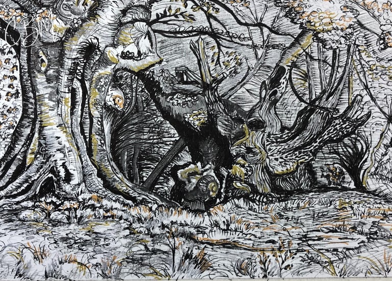 CBM Art Ancient Trees in the style of Samual Parker Pen and ink