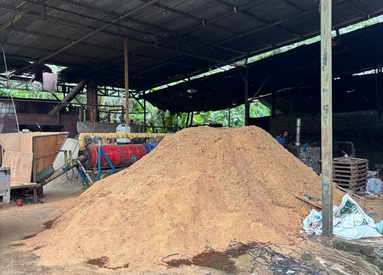 sawdust to produce wood pellets