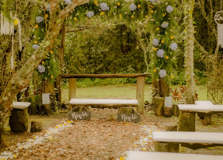 Hermoso set nupcial en campo, adornado con flores colgantes.
