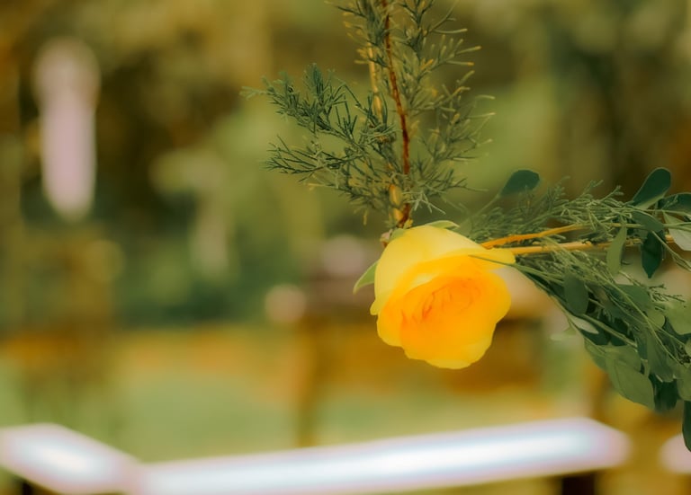 Una sola rosa amarilla floreciendo en una rama verde con un fondo de jardín suave bokeh.