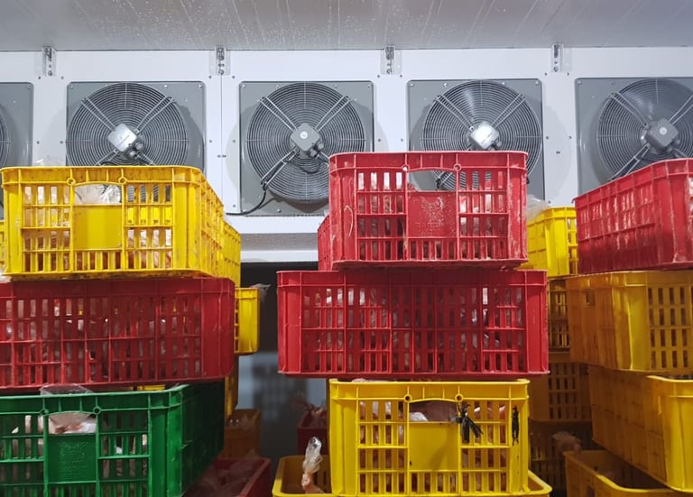 Air Blast Freezer ROCKET CHICKEN - Salatiga by CV MUDACOOL INDONESIA