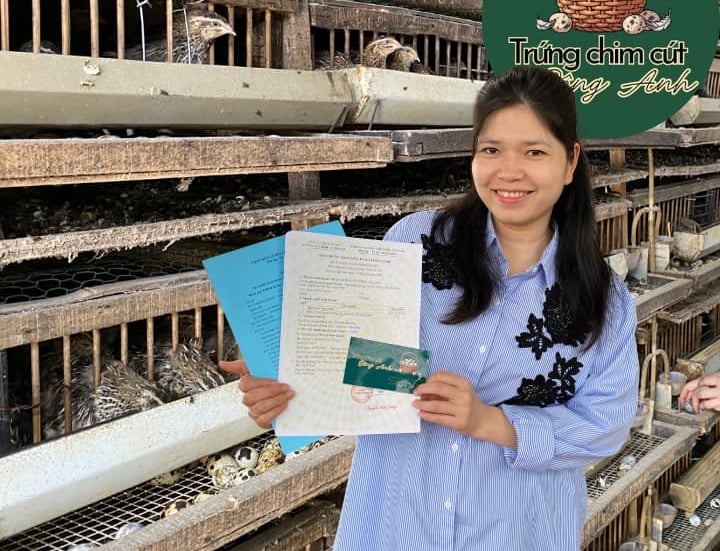 trứng chim cút bóc sẵn Đông Anh, Hà Nội, chim cút thịt, chim câu thịt giá sỉ