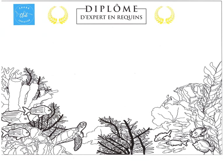 diplôme expert requins Shark Education Club