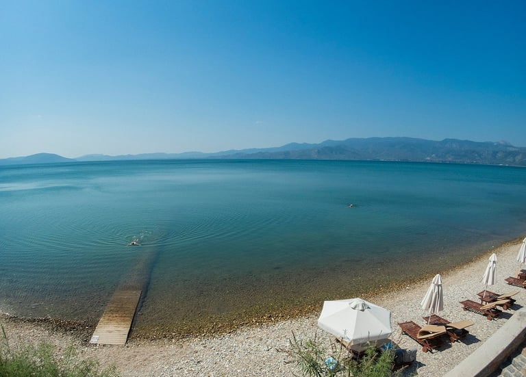 Thermes de Gera - Autour de Villa Port Olivier - Villa à louer en Grèce - île de Lesbos