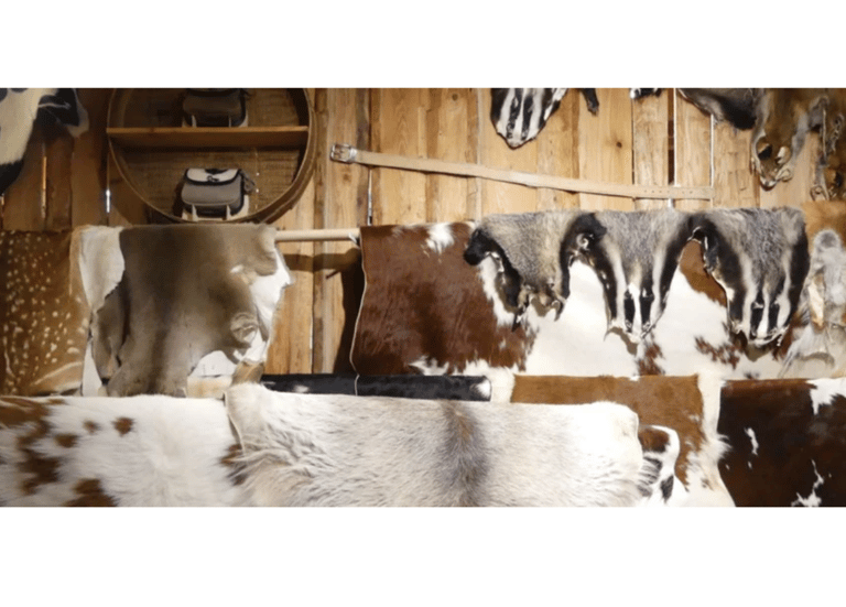 Raw buffalo leather—ethically sourced from halal processing, ideal for tanning and export markets.