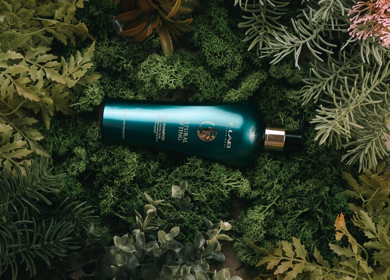 Socialinių tinklų reklama Facebook ir Instagram platformoms