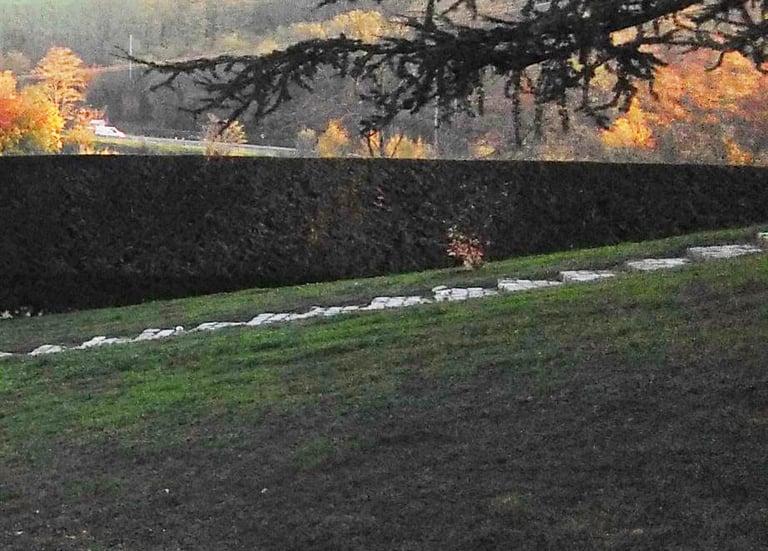 Haie taillée avec des petites marches dans le jardin.