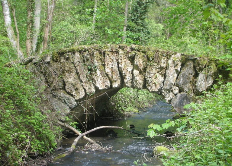 Pont en pierre forêt de Magny-les-Hameaux
