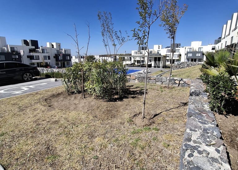 jardin seco en fraccionamiento