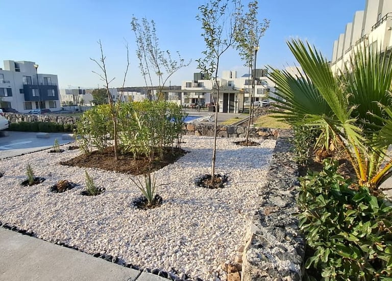jardin remodelado en fraccionamiento 