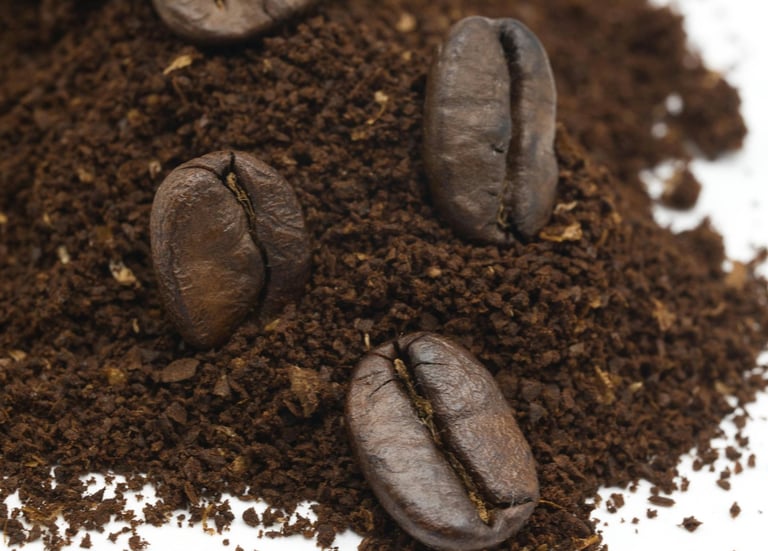 Cà phê Robusta