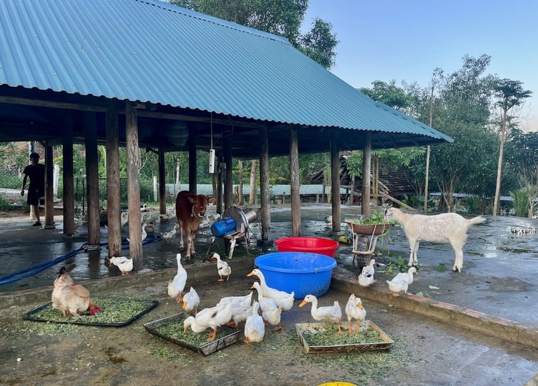 La petite ferme du Nguyen Shack Retreat à Phong Nha