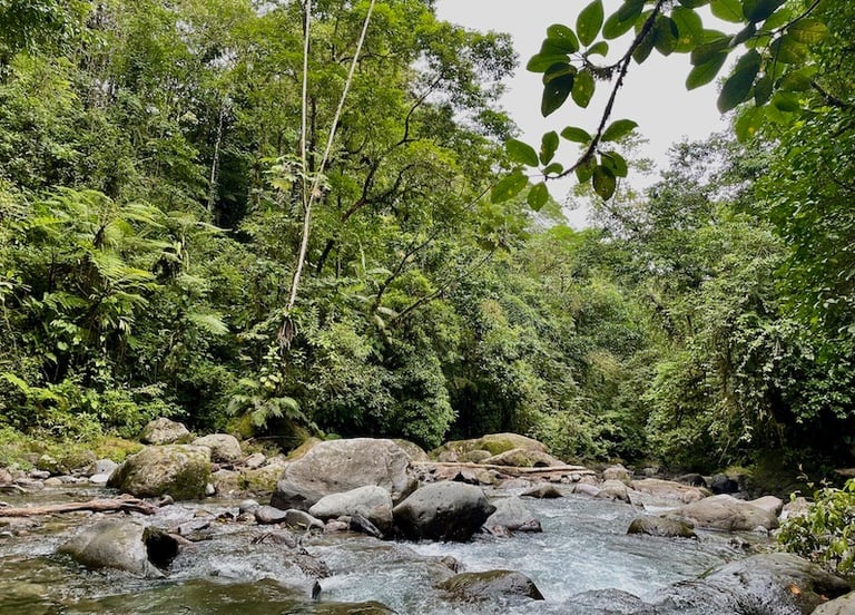 La Fortuna Wasserfall Urwald Costa Rica Annerschtwo