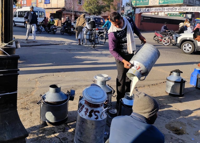 best-jaipur-milk-market-tour.jpg