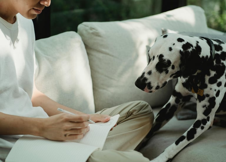 Benefici del Journaling. Che cos'è e a cosa serve.