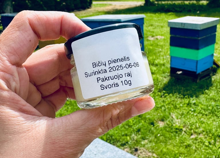 bičių pienelis - royal jelly