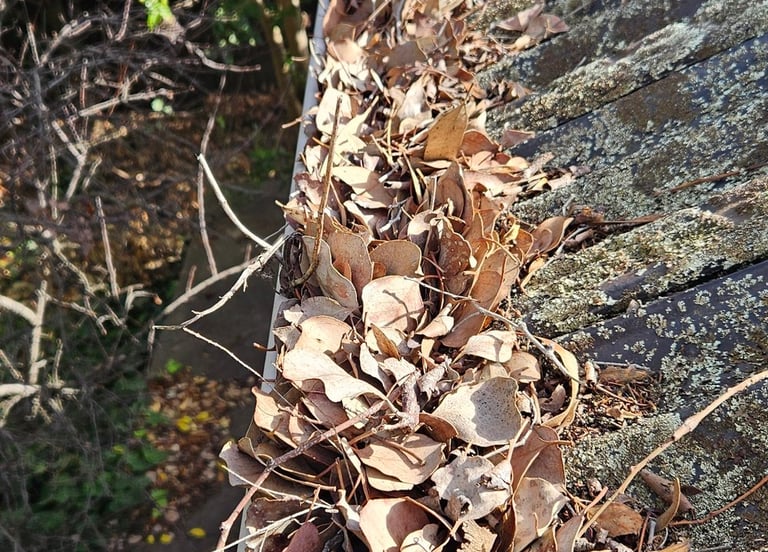 Gutter clearing, Basic roof maintenance, Landscaping, Lawn mowing, edging & all Gardening services