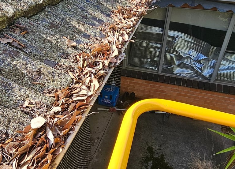 Gutter Clearing & general roof & home maintenance