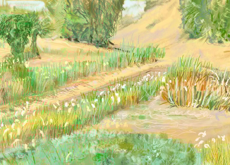 Kos hotel sand dune garden