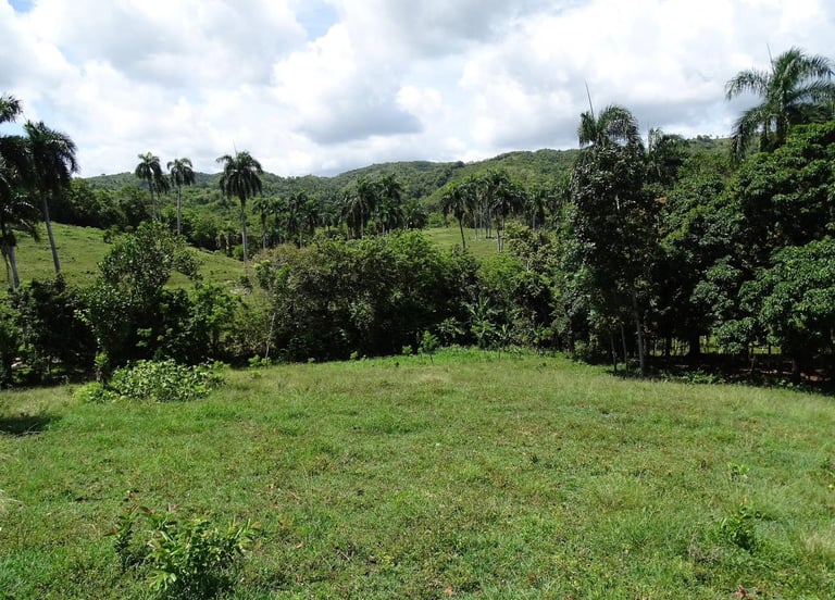 Land as an investment