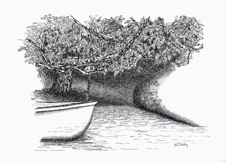 Árvore robusta com barco ao lado, em bico de pena e nanquim preto.